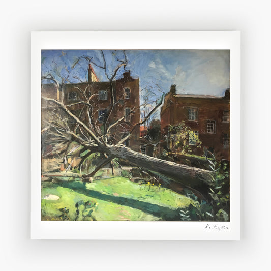 Fallen Walnut Tree