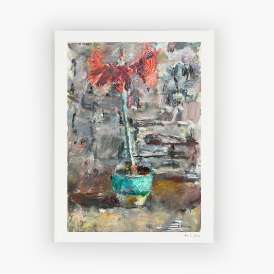 Amaryllis