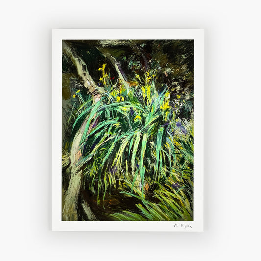 Iris’s. Pastel